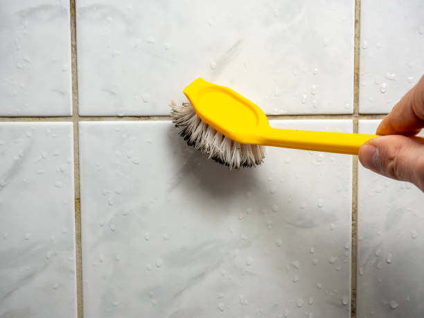 Office Mold Removal Services in Bradfordville, FL